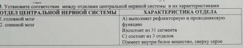 13. Установите соответствие между отделами центральной нервной системы и их характеристиками ОТДЕЛ Ц