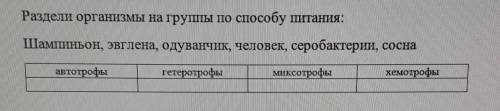 Раздели организмы на группы по питания: Шампиньон, эвглена, одуванчик, человек, серобактерии,Соснаав