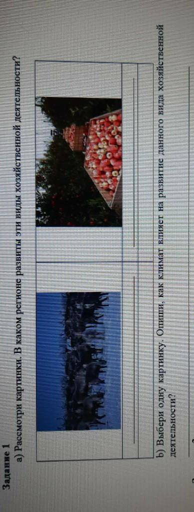 Выбери одну катинку опиши как климат влияет на развитие данного видахозяйственой деятельности​