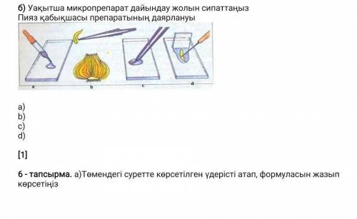 перевод на русктий:б) Опишите, как приготовить временный микропрепарат.​