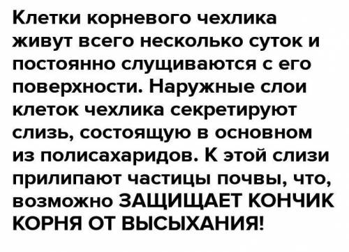 4. Выберите неверные суждения и объясните ошибки. А. Кончик корня покрыт корневым чехликом,Б. Цветоч