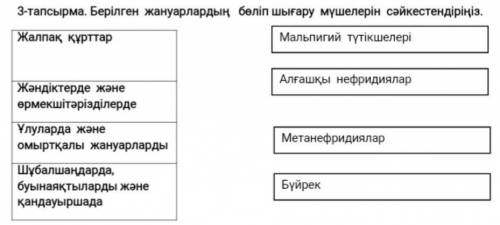 Көмірсу, ақуыз және майлардың негізгі көздері болып табылатын азық-түлік өнімдерін анықтаңыз. 1)А 2)