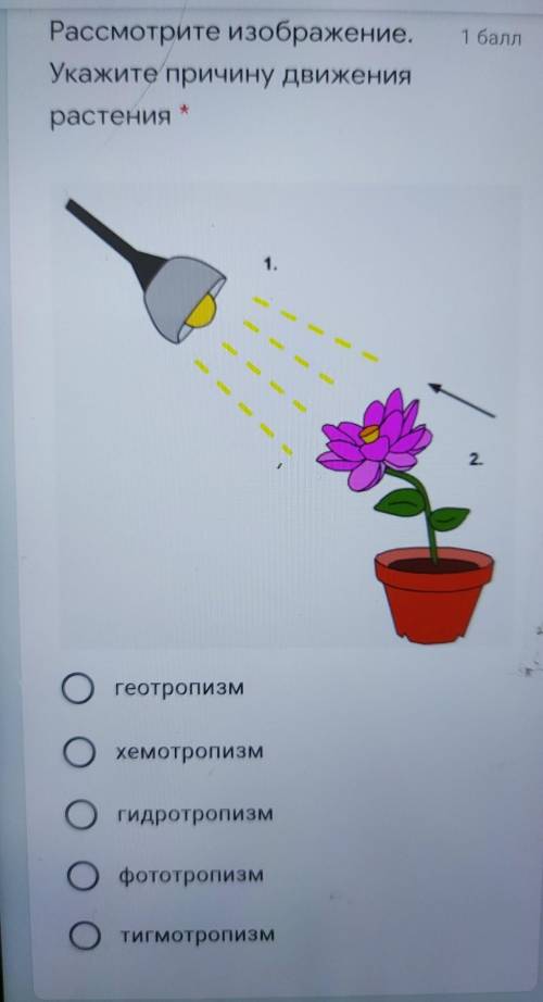 Рассмотрите изображение.Укажите причину движениярастения​