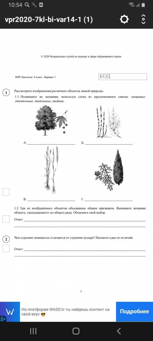 1.2 кто лишний и почему?