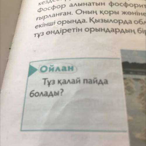 Ойлан. Тұз қалай пайда болады керек