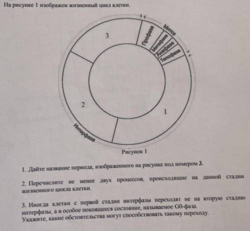 1.Дайте название периода,изображённого на рисунке под номером 3