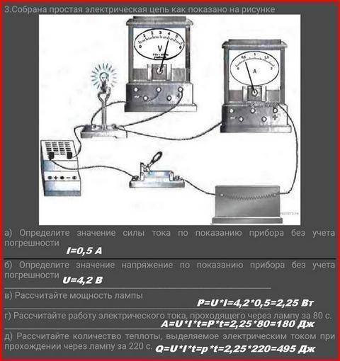 главные мозги ученые ​