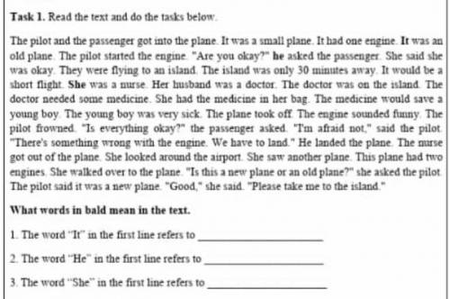 Task 1. Read the text and do the tasks belowThe pilot and the passenger got into the plane It was a