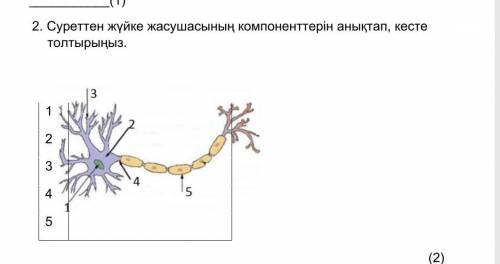 наны степ бериндерши биология ​