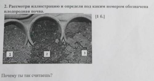 2. Рассмотри иллюстрацию и определи под каким номером обозначена плодородная почва.Почему ты так счи