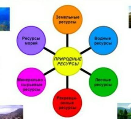 Наиболее распространенные виды природных ресурсов​