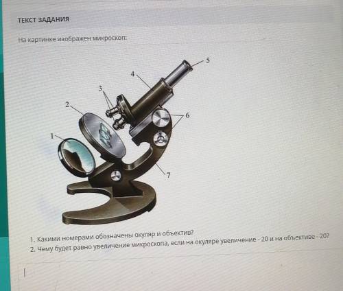 614902400/lesson/3ebb7ca6-194d-48a4-а 14-37208d453bd0 ТЕКСТ ЗАДАНИЯНа картинке изображен микроскоп:5