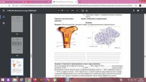 Изучи рисунок напишите Макро в микроскопическое строение кости