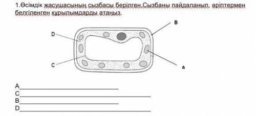 Истествознания. надо назвать​