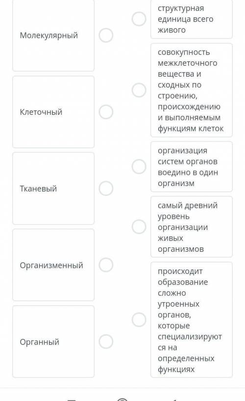 установите соответствие между уровнем организации живых организмов и их характеристикой:​