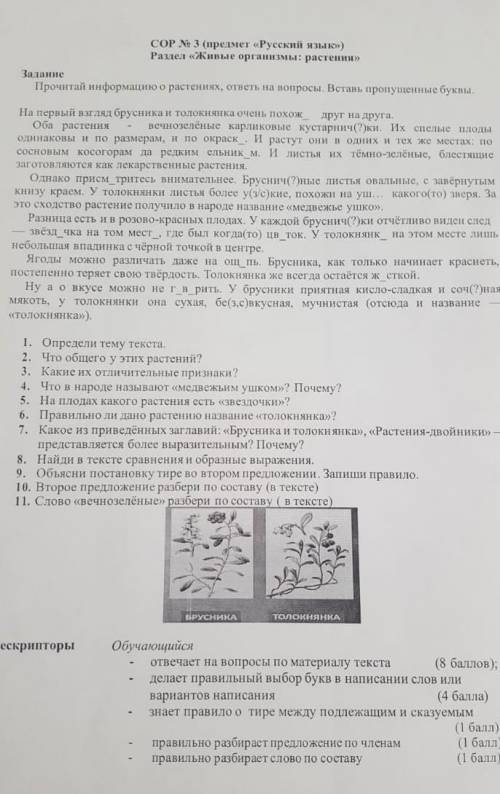 Какое из приведённых заглавий Брусника и Толокнянка Растение двойники представляется более выразите