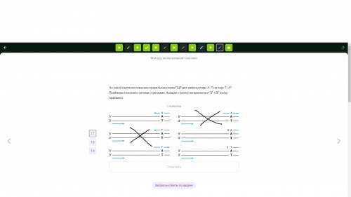 На какой картинке показана правильная схема ПЦР для замены пары А–Т на пару Т–А? Праймеры показаны с