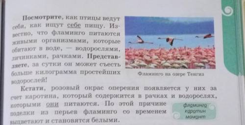 Задание 1. Упр.405 А на стр.84 Задание 3. Выпишите в тетрадь подчеркнутые в этом тексте местоимения