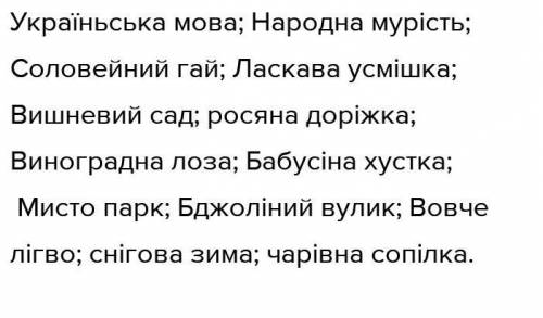 ДО ІТЬ БУДЬ ЛАСКА !! Запишіть словосполучення, розкриваючи дужки. У прикметниках виділіть суфікси і