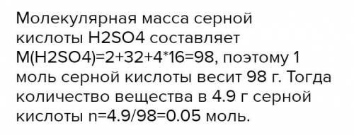 Определите число молекул содержащихся в 4,9 г H2SO4​