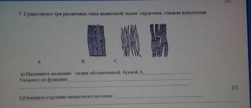 Существует три различных типа ткани ​