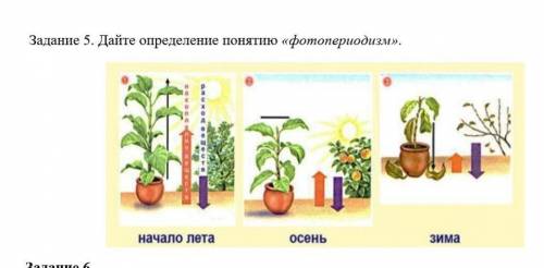 Дайте определение понятию «фотопериодизм»(начало лето,осень,зима) ​