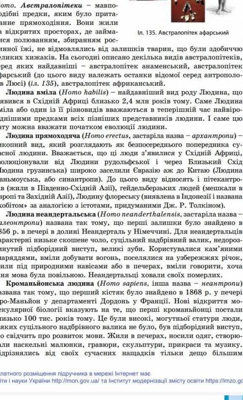 порівняйте між собою різних представників роду людина: людину вмілу, прямоходячу, неандертальську та