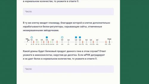 Имеется схема гена, где отмечены точка старта транскрипции (TSS), старт-кодоны (зелёным), стоп-кодон