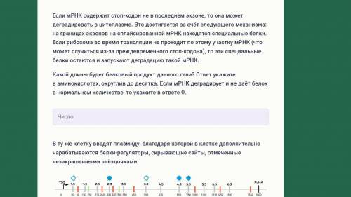 Имеется схема гена, где отмечены точка старта транскрипции (TSS), старт-кодоны (зелёным), стоп-кодон