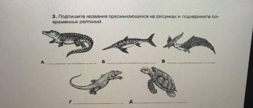 3. Подпишите названия пресмыкающихся на рисунках и подчеркните современних рептилий