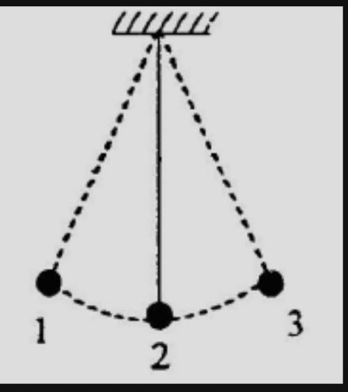 Математический маятник совершает свободные гармонические колебания. Какое значение имеют потенциальн
