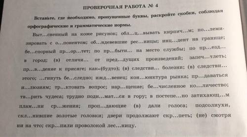 ПРОВЕРОЧНАЯ РАБОТА N 4 Вставьте, где необходимо, пропущенные буквы, раскройте скобки, соблюдая орфог