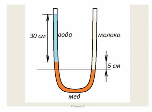 В – образную трубку налили сначала мед. Затем в левое колено была налита вода, а в правое – молоко.