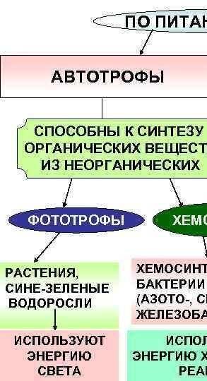 Назовите типы питания живых организмов? автотрофное питаниегетеротрофное питаниеавтотрофное и гетеро