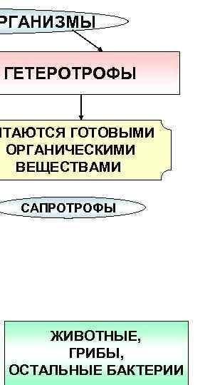 Назовите типы питания живых организмов? автотрофное питаниегетеротрофное питаниеавтотрофное и гетеро