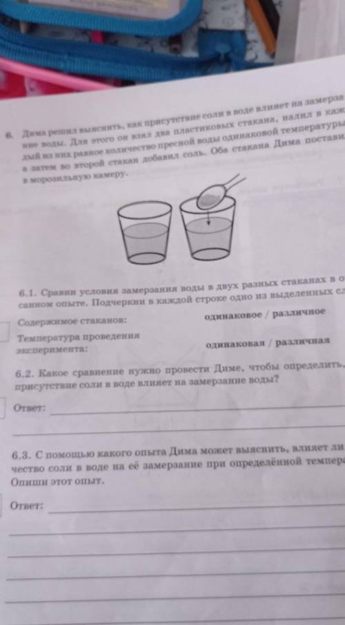 Дима решил выяснить как присутствие соль в воде влияет на замерзание воды для этого он сделал для пл