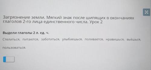 Загрязнение земли. Мягкий знак после шипящих в окончаниях глаголов 2-го лица единственного числа. Ур