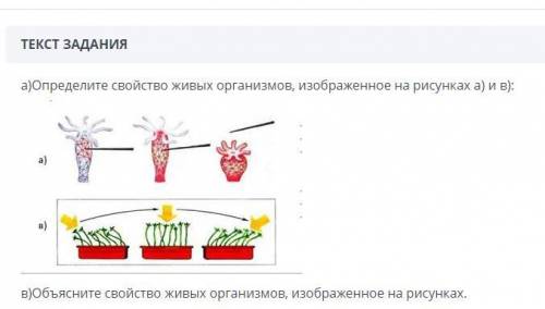 Определите свойство живых организмов изображенное на рисунке а и бСОР, Естествознание, 6 класс