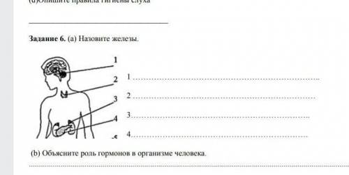 А)назовите железы. б)объясните роль гармонов в организме человека.​