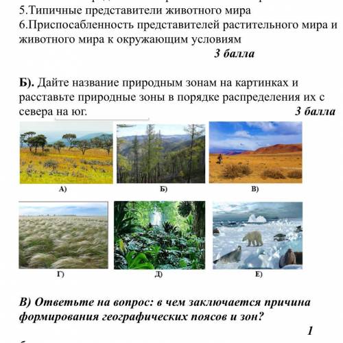 Б). Дайте название природным зонам на картинках и расставьте природные зоны в порядке распределения