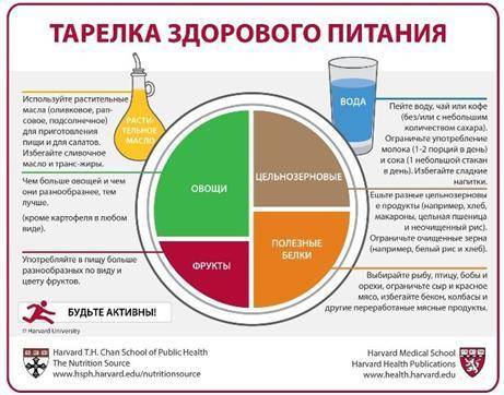 Внимательно прочитайте схему «Тарелка здорового питания» Определите личную и общественную актуальнос