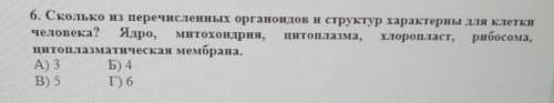 Что в шестом задании ответ? ​