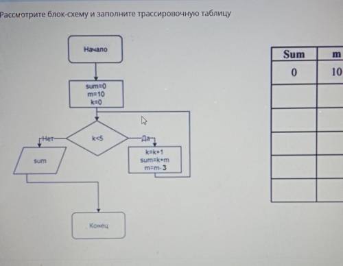 Информатика sum m. k0. 10. 0​