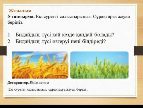 тут надо сравнить картинки и ответить на вопросысразу ​