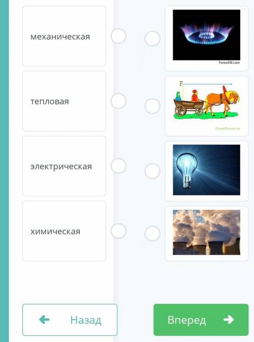 Механическая тепловая электрическая химическая у меня сор​
