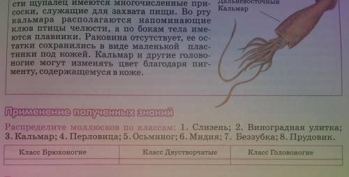 Распределите молюсков по классам 1 Слизень 2 Виноградная улитка 3 Кальмар