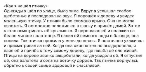 Прочитай часть текста У птички сломоно крыло. Она не могла взлететь. Я осторожно положил её в шапку