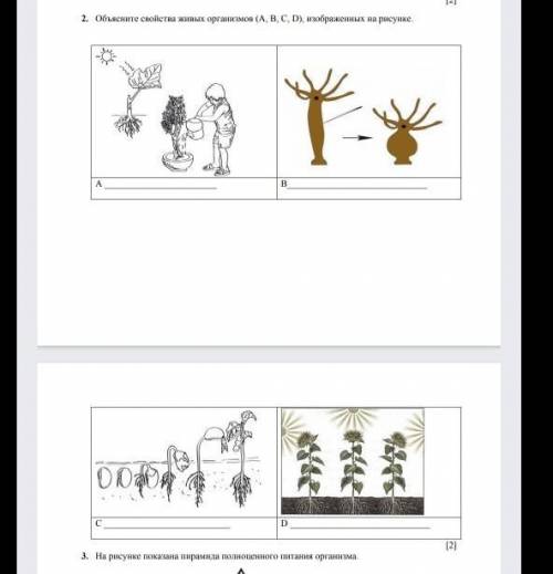 Объясните свойства живых организмов ( а , в,с,D) изображения на рисунке . УМАЛЯЮ НОРМАЛЬНЫЙ ОТВЕТ​