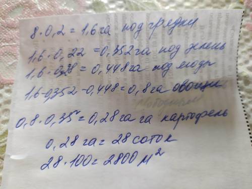 На участке, занимающем 8 соток, 20 % площади отвели под грядки. На территории, отведённой под грядки