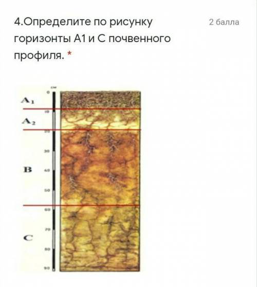 4.Определите по рисунку горизонты А1 иС почвенного профиля.​